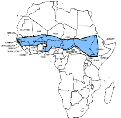 Fig. 3. Sub-Saharan  meningitis  belt.원인이 되며,  아시아와 아프리카 지역에서는 A군과 C군이  주된  원인이  된다9～11)