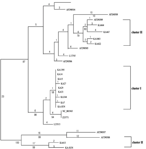 Fig. 9. Phylogenetic  relationship  of  the  partial  nonstructural  protein  gene  between  15  HAst  strains  from  Korea  during  2000  and  12  strains  from  published  reports  (Arch