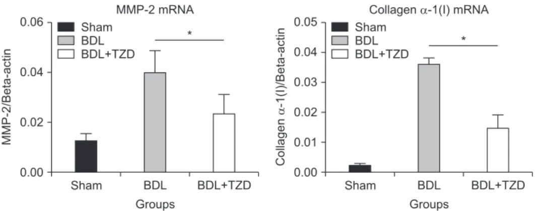 Fig. 2. Quantification of hepatic MMP-2 and collagen α-1(I) gene expression by qPCR in sham, BDL, and BDL+TZD  rat groups; Expression of hepatic MMP-2 and collagen α-1(I) mRNAs are down-regulated in BDL+TZD rats