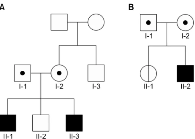 Fig. 1.  Pedigrees of two Korean families who were subjected  to familial genetic analyses