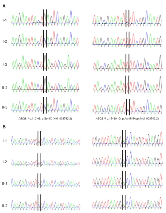 Fig. 3.  Identification of novel  mutations. (A) Identification  of causative novel heterozygous mutations in the progressive  familial intrahepatic  choles-tasis type 2 patient and his  parents
