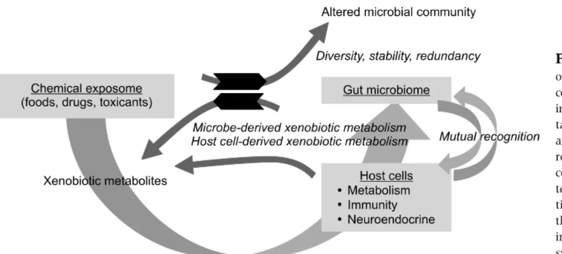 Fig. 1.  Schematic networks  of gastrointestinal niche.  Mu-cosal xenobiotics are converted  into beneficial or harmful  me-tabolites by both host cells  and gut microbes, which  recip-rocally influces the microbial  community and host cell  in-tegrity