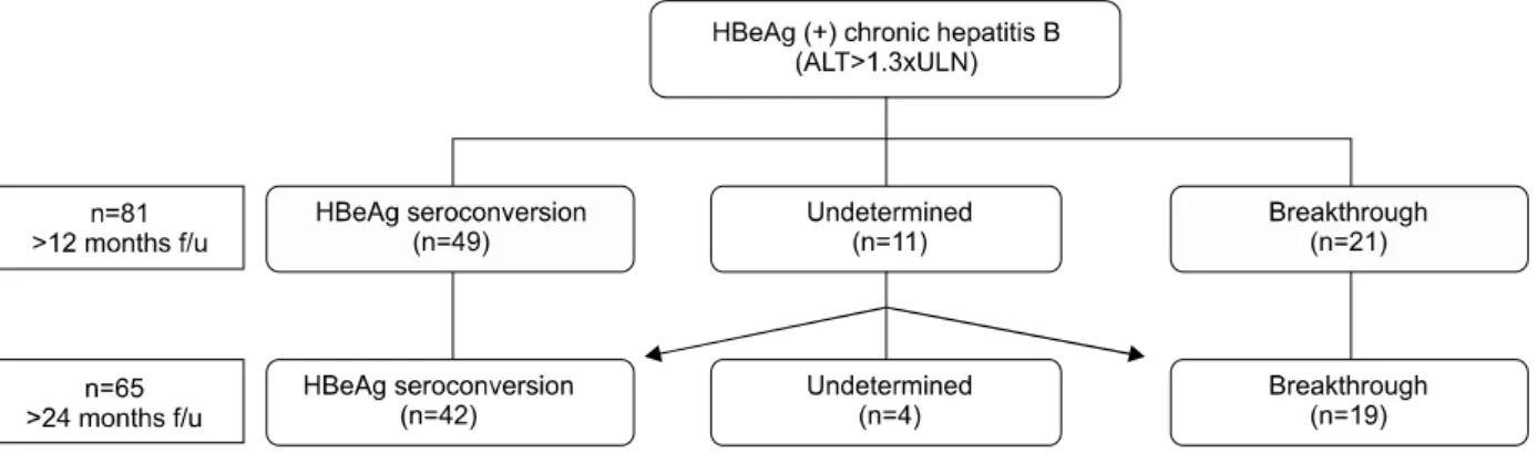 Fig. 1.  Algorithm of treatment for HBeAg (+) chronic hepatitis B. Analysis was done for 81 and 65 patients who have followed-up for over 12 months and 24 months, respectively