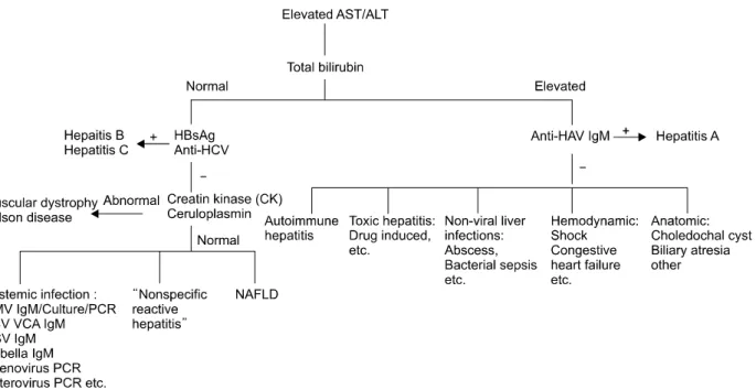 Fig. 1.  Suggesting diagnostic algorithm for the children with elevated AST and ALT. The first step is the measure of serum total bilirubin