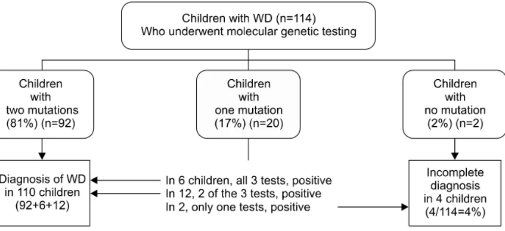 Fig. 6.  Genetic diagnosis and  copper metabolism associated  3 tests in 114 children with  Wilson disease (WD) at Seoul  National University Children’s Hospital (Low ceruloplasmin+ 