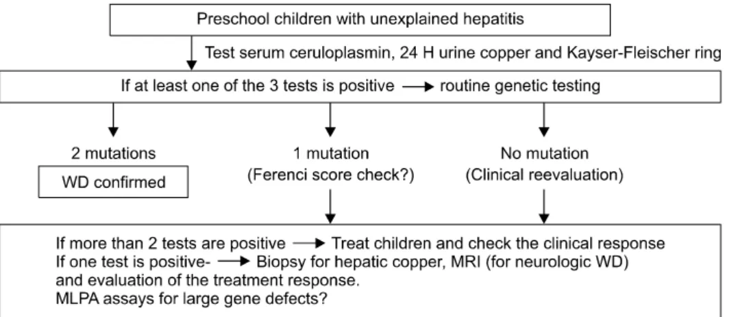 Fig. 7.  Diagnostic approach  for Wilson disease (WD) in  infants and preschool children – paradigm shift in the era of molecular genetics (at Seoul  National University Children’s Hospital).