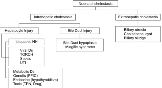 Fig.  1.  Classification  of  cholestasis  in  infants.  *NH:  neonatal  hepatitis;  Ds:  disease;  UTI:  urinary  tract  infection;  PFIC:  progressive  familial  intrahepatic  cholestasis;  TPN:  total  parental  nutrition.
