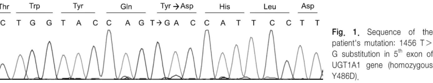 Fig.  1.  Sequence  of  the  patient's  mutation:  1456  T＞