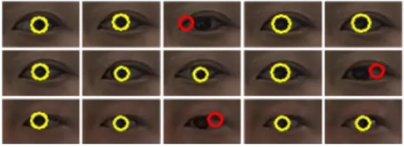 그림 7. B 조명에서 수집된 이미지의 눈동자 검출 결과 Fig. 7. Eye center detection result in illumination B
