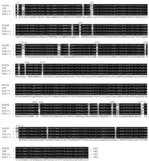 Fig.  2.  Divergence  of  the  sequences  in  the  feoB  amino  acid  sequence,  showing  comparisons  of  H