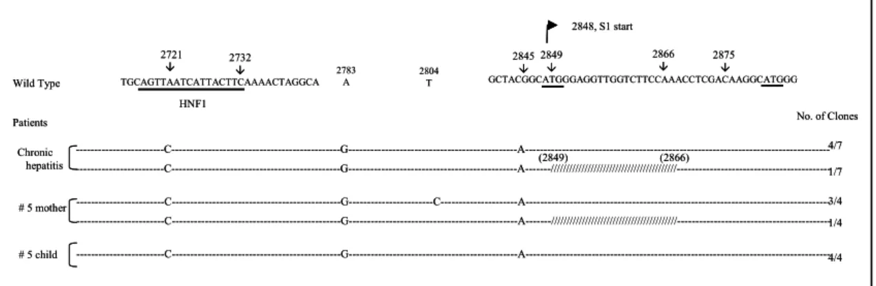 Fig.  6.  The  comparison  of    S1  promoter  sequences  of  No.  5  pair  with  those  of  chronic  hepatitis.