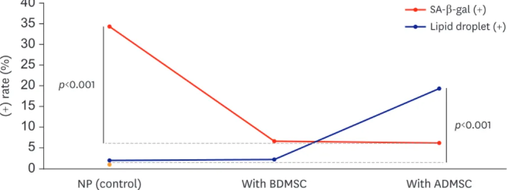 FIGURE 3. Ratio of NPCs positive for SA-β-gal staining and the proportion of NPCs having lipid droplets