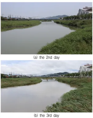 그림  5.  벌교천의  대표  영상  (a)  2일차,  (b)  3  일차 Fig.  5  Representative  images  of  bulgyo  river