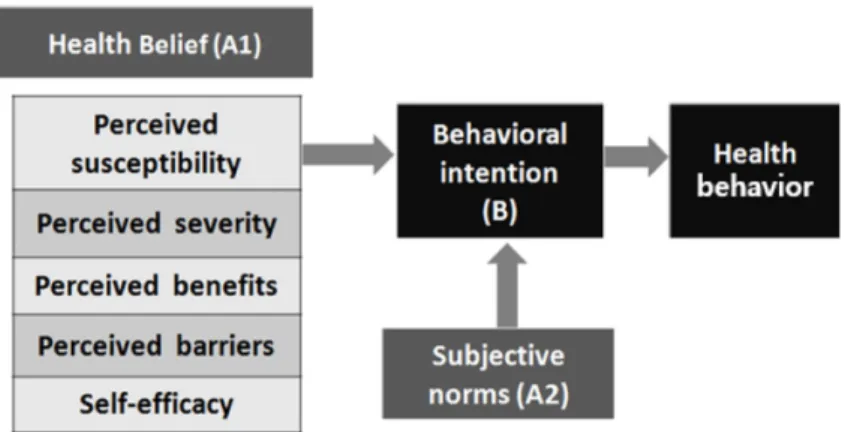 Fig. 1. The study model based on health belief model and theory of planned behavior