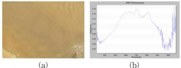 그림  8.  탁수에  대한  (a)  영상과  (b)  반사도 Fig.  8  (a)  Image  and  (b)  Reflectance  for  turbid  water 