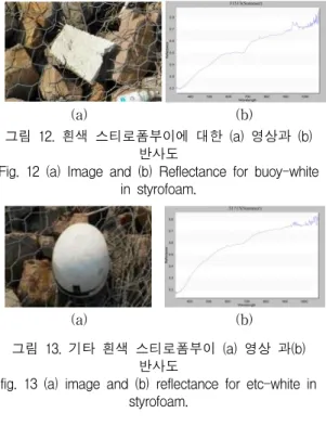 그림  13.  기타  흰색  스티로폼부이  (a)  영상  과(b)  반사도