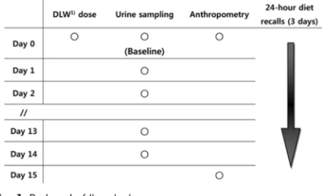Fig. 1. Protocol of the study. 