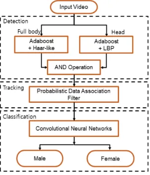 그림  2.  보행자  검출,  추적,  성별  구분  과정 Fig.  2  The  process  of  detection.  tracking  and  gender 