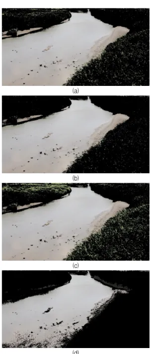 Fig.  19  Binarization  results  of  a  image  of  1st  day  (a)  R  channel,  (b)  B  channel,  (c)  L  cahnnel  (d)  b  channel