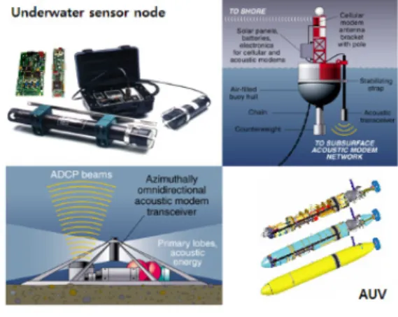 Fig. 1. Underwater sensor nodes and Autonomous Underwater Vehicles 