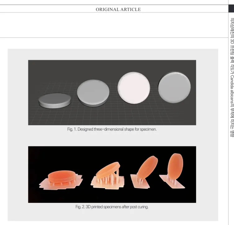 Fig. 2. 3D printed specimens after post curing.