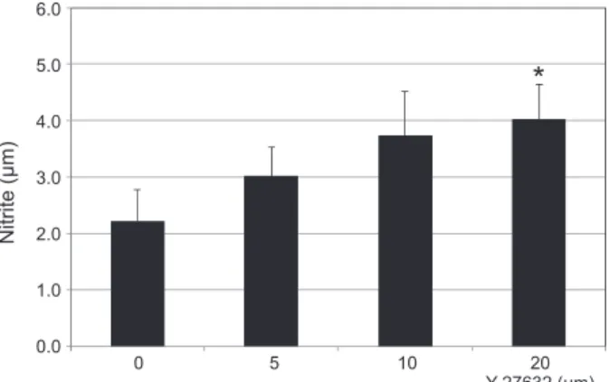 Figure 1.  Effects of Y-27632 (0, 5, 10, 20 µM) on the produc- produc-tion of nitric oxide in cultured human trabecular meshwork cells