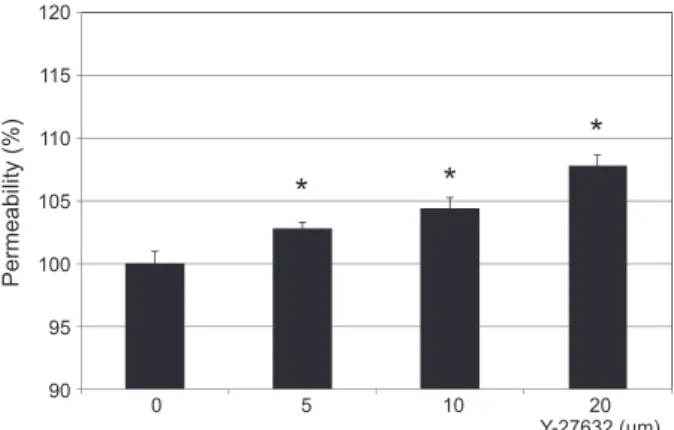 Figure 3.  Effects of Y-27632 (0, 5, 10, 20 µM) on the expression  of eNOS mRNA in cultured human trabecular meshwork cells