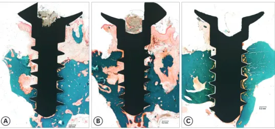 Figure 3. Representative histologic images of the alveolar bone around the implant in the rat maxilla