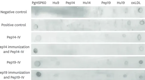 Figure 3. Dot immunoblot profiles for mouse serum reactivity to each peptide. Serum reactivity to Pep14 was not  detectable in any of the study groups, including the Pep14-immunized group