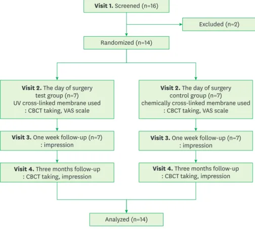 Figure 1. Procedure flowchart. 