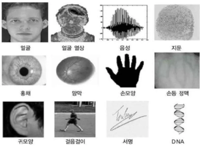 Fig.  1.  Kind  of  Biometric  Information