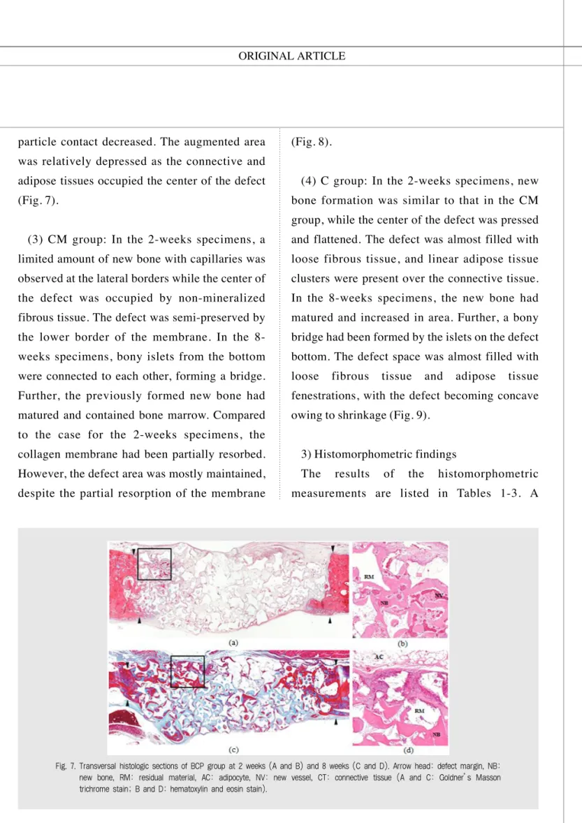 Fig. 7. Transversal histologic sections of BCP group at 2 weeks (A and B) and 8 weeks (C and D)