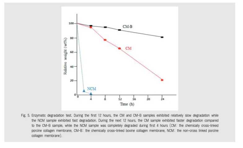 Fig. 5. Enzymatic degradation test. During the first 12 hours, the CM and CM-B samples exhibited relatively slow degradation while the NCM sample exhibited fast degradation