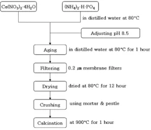 Figure  1.  Flow  chart  of  chemically  precipitated  BCP  preparation  procedure과에서  성공적인  골이식  대체재로  사용되고  있다19,20)