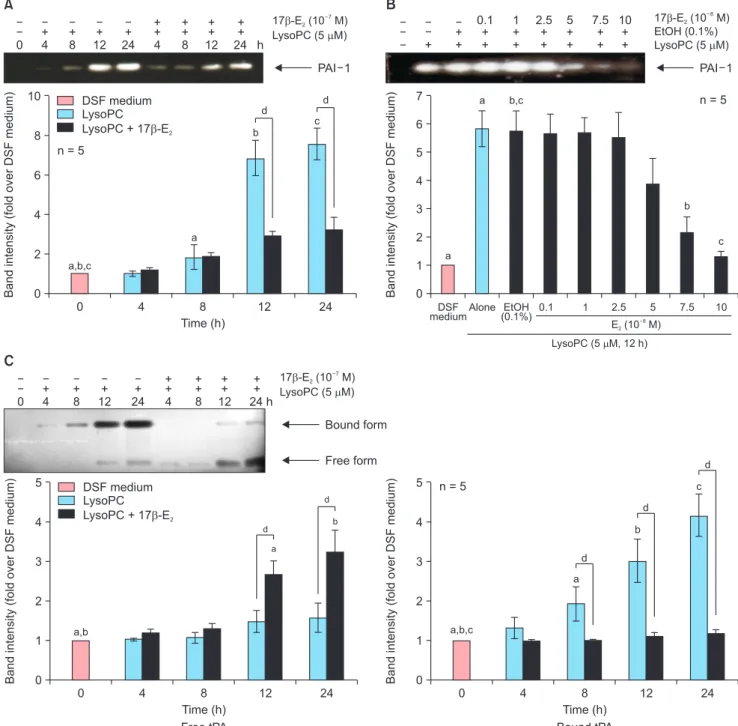 Fig. 2.  Effects of 17β-estradiol (E 2 ) on enzymatic activities of the plasminogen activator system in the conditioned media harvested from cultured vascular  smooth muscle cells stimulated with lysophosphatidylcholine (LysoPC, 5 µM) after 24-hour pre-tre