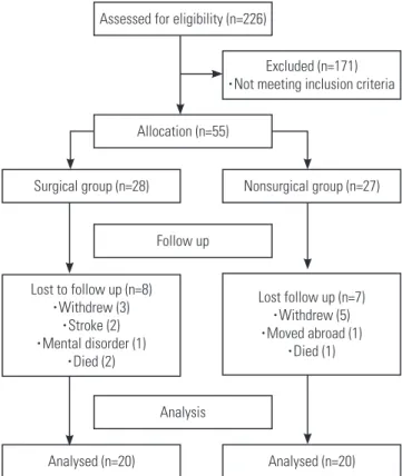 Fig. 3. Flow of the patients through each stage of the study.