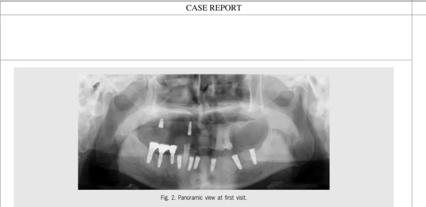 Fig. 2. Panoramic view at first visit.