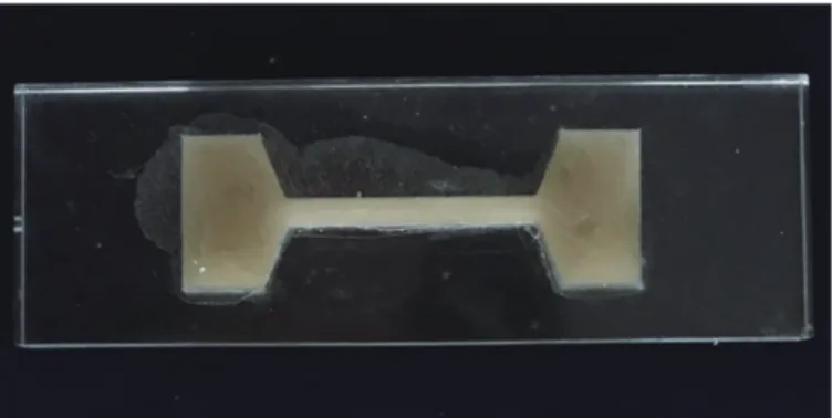 Fig. 3. Dumbbell-shaped specimens (ASTM D412) 19  for UTS.