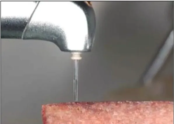 Fig. 1. View of experimental bone and laser tip.