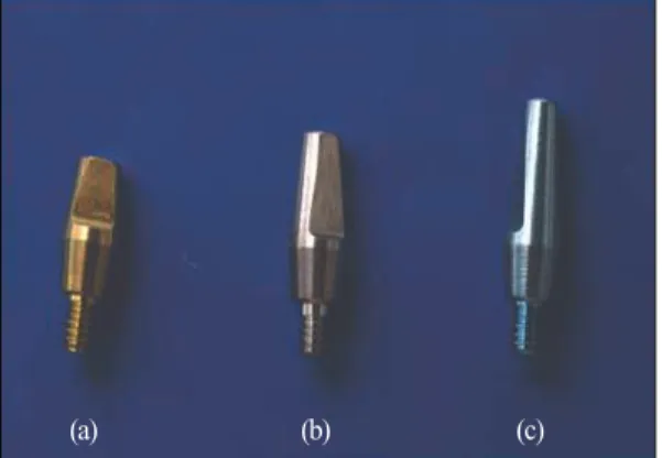 Fig. 1. The single implant with the solid abutment embedded in the block of acrylic resin.
