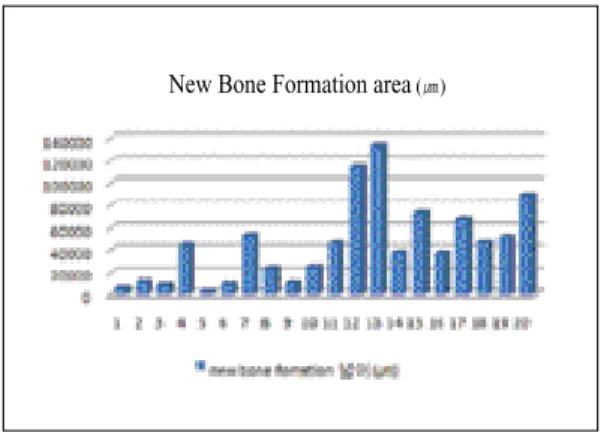 Fig. 1. Alkaline Phosphatase level  (Number 1~10 rat was ovariectomized).