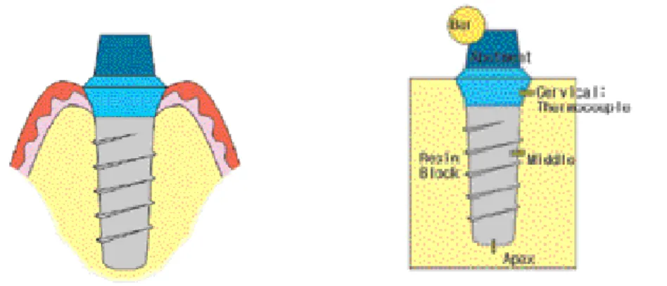 Fig. 1. Experimental setup in this study. 