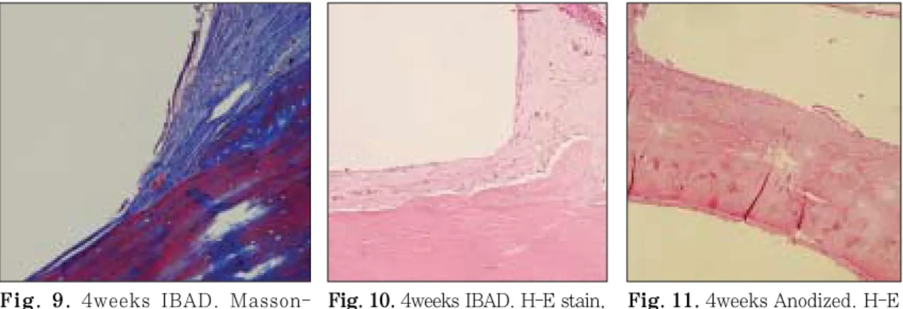 Fig. 8. 4weeks IBAD. Masson-Trichrome stain, ×200