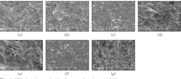 Fig. 4. SEM photomicrographs of surface treated specimens(× 500). 