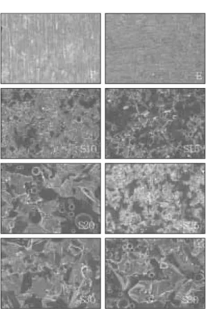 Fig. 4. The SEM photographs of titanium surface after 3-point bending test.