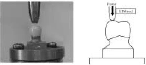 Table I. Experimental groups of specimens used in study