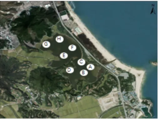 Fig.  1  Map  showing  the  study  area  and  sampling  site  of  the  Songji  Lagoon.