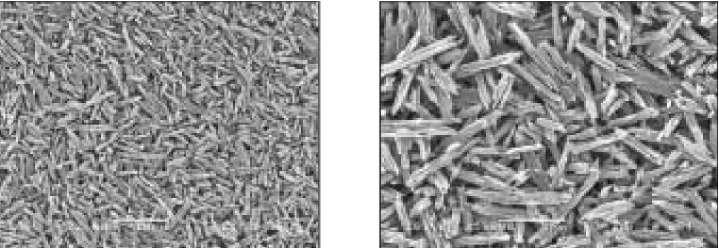 Fig. 9. Ceramic specimen etched with 4% HF for 90s.