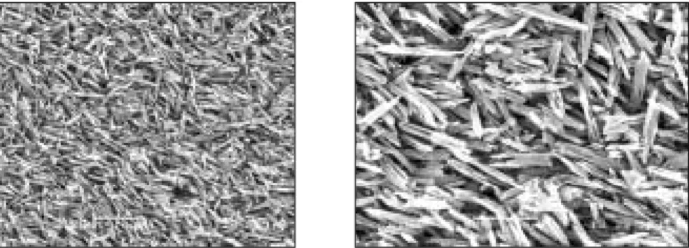 Fig. 10. Ceramic specimen etched with 4% HF for 120s.