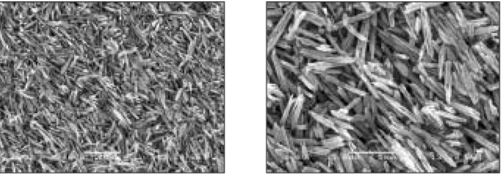 Fig. 16. Ceramic specimen etched with 9% HF for 180s.